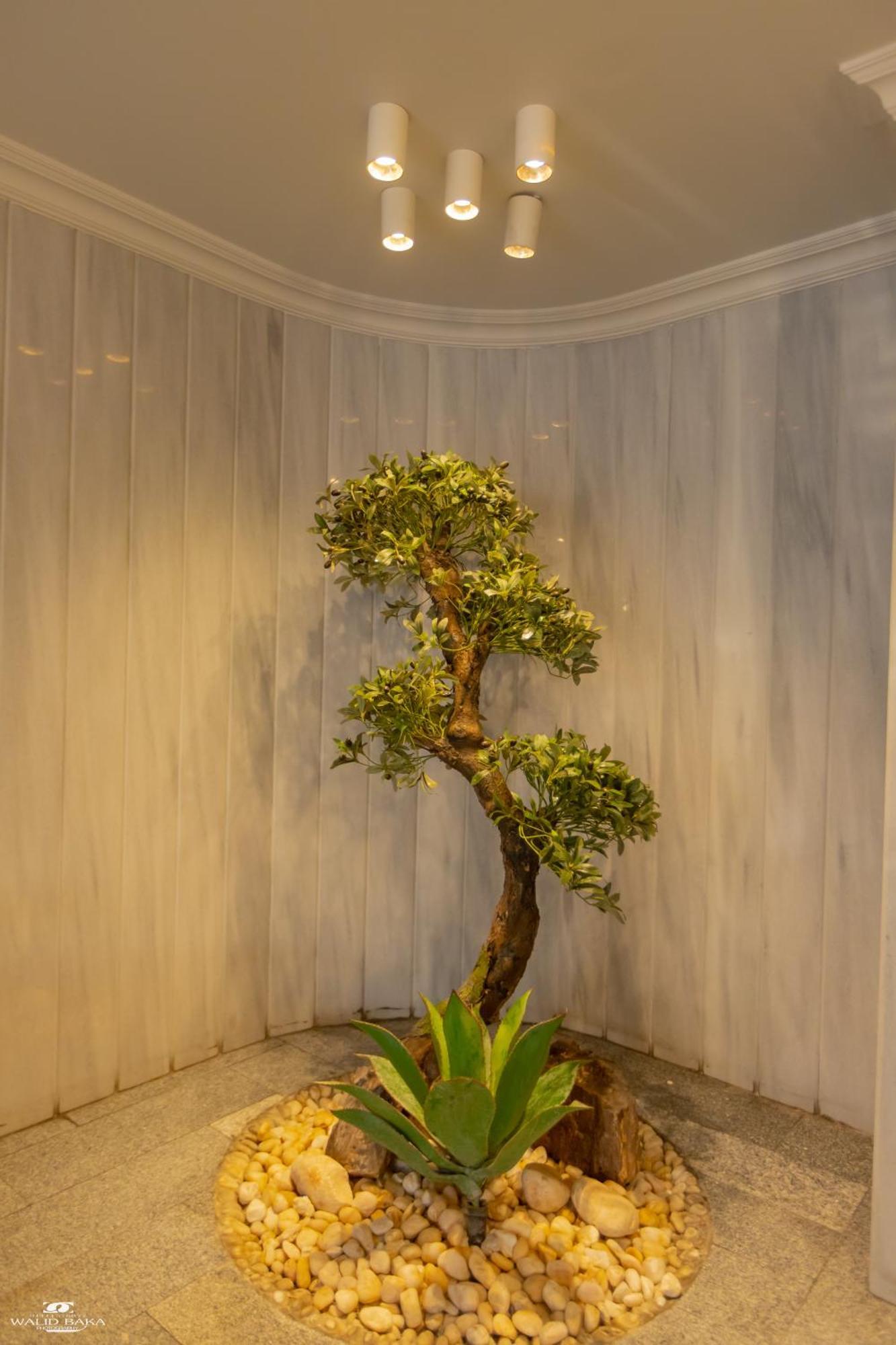 El Farida Hotel Kahire Dış mekan fotoğraf